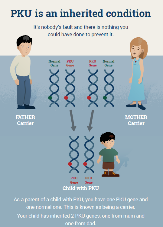 Recessive PKU Gene Diagram