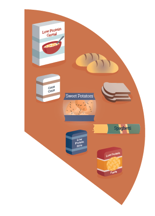 Starchy Carbohydrates Section