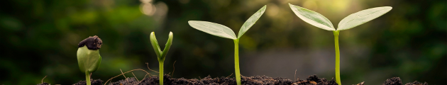 sustainability commitments