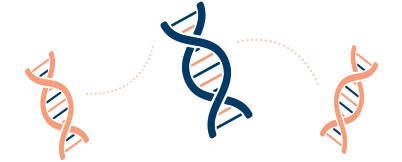 Low protein mobile banner